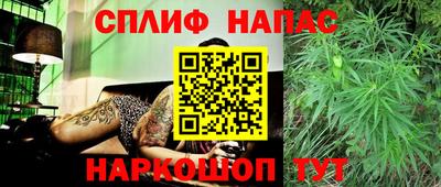 прущие грибы Апшеронск