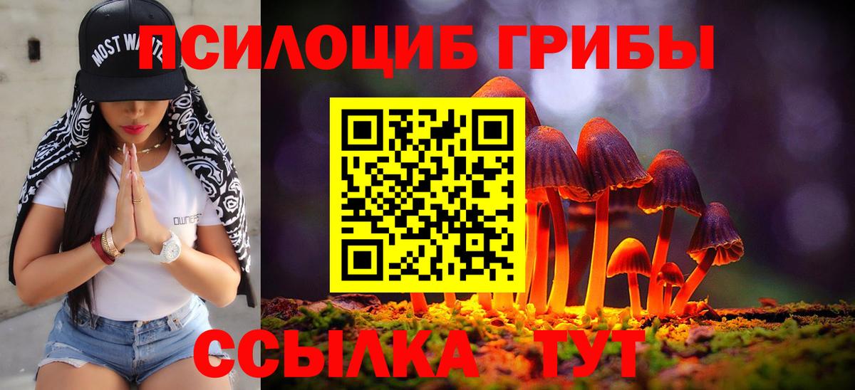 Псилоцибиновые грибы Magic Shrooms Воскресенск